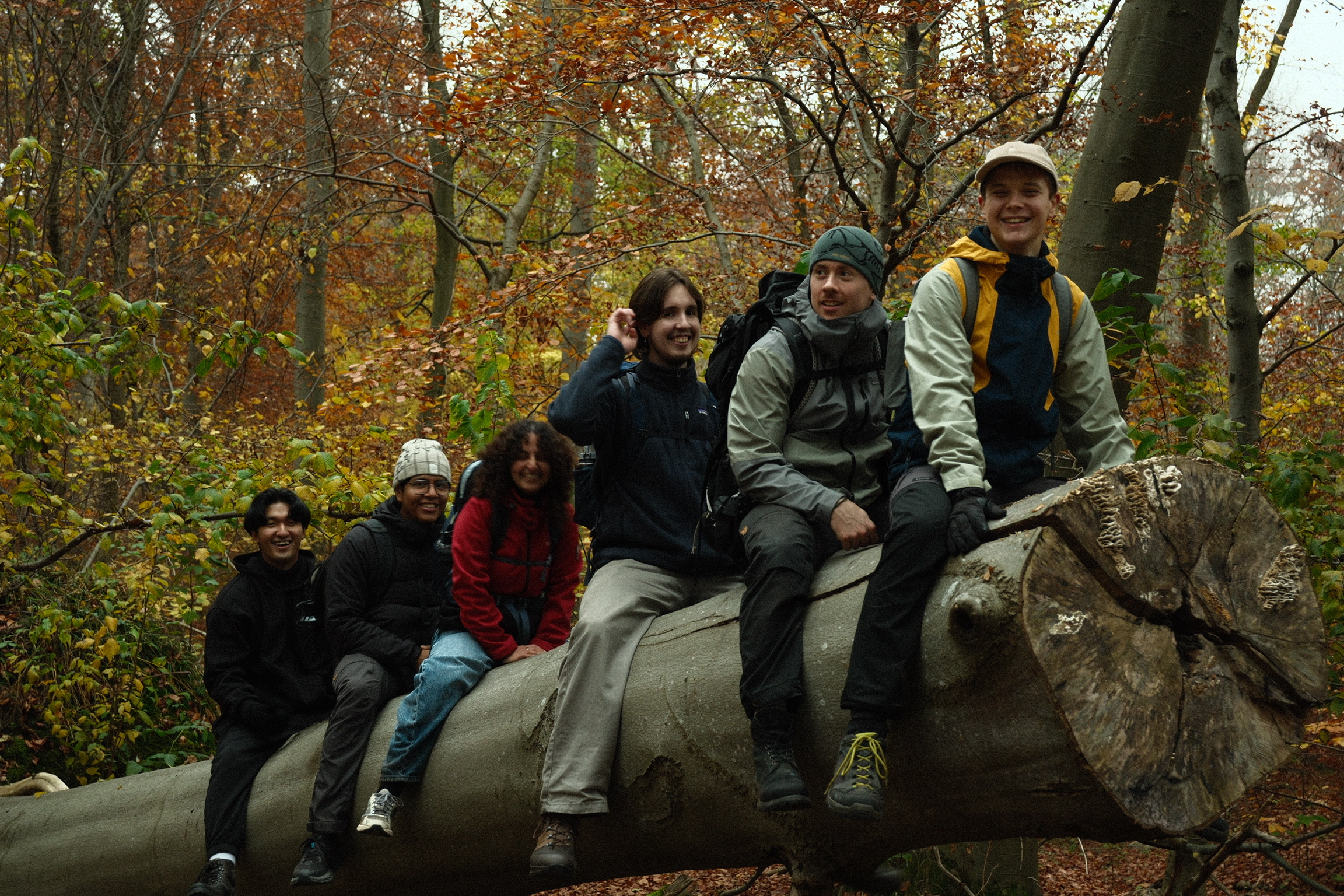 Log sitting group photo