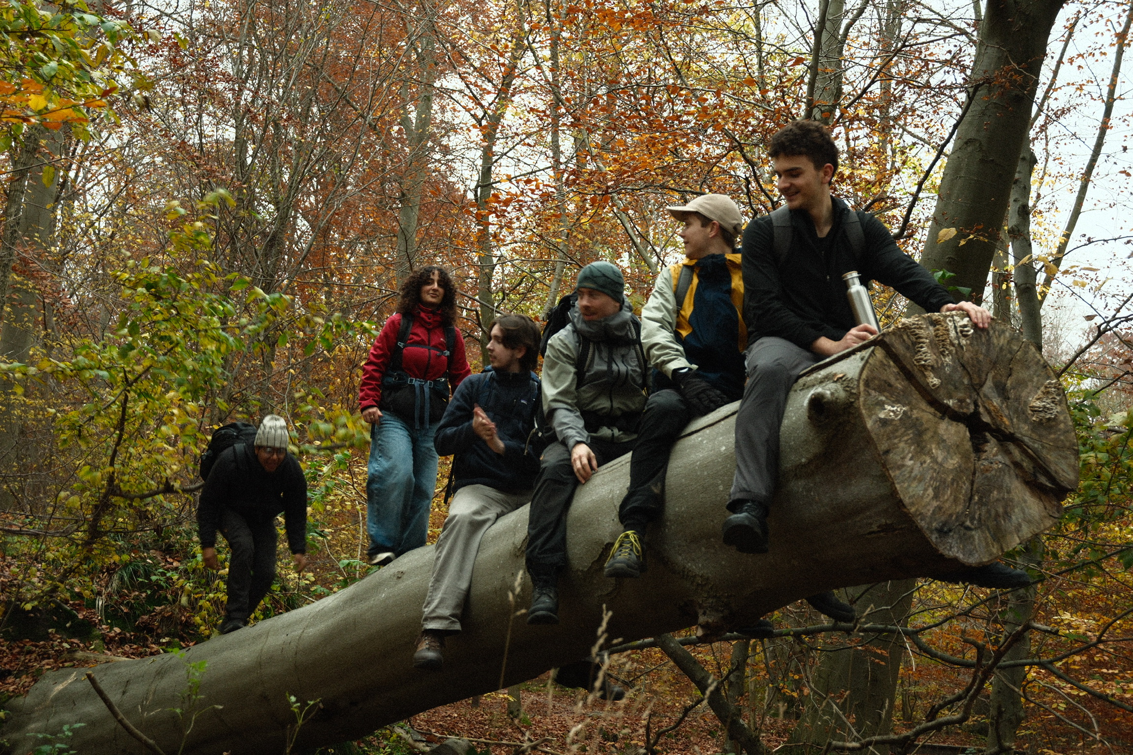 Log sitting group photo 2